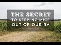 The Secret to Keeping Mice Out of Our RV The Secret to Keeping Mice Out of Our RV