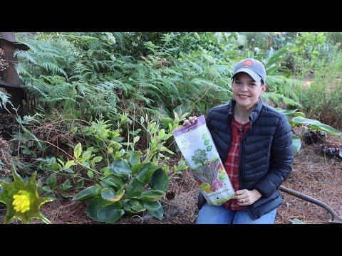 Saving Your Plants from Voles | Gardening with Creekside