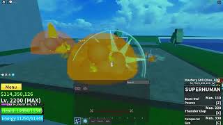 (Bloxfruits) trying to bounty hunt on my brother's account