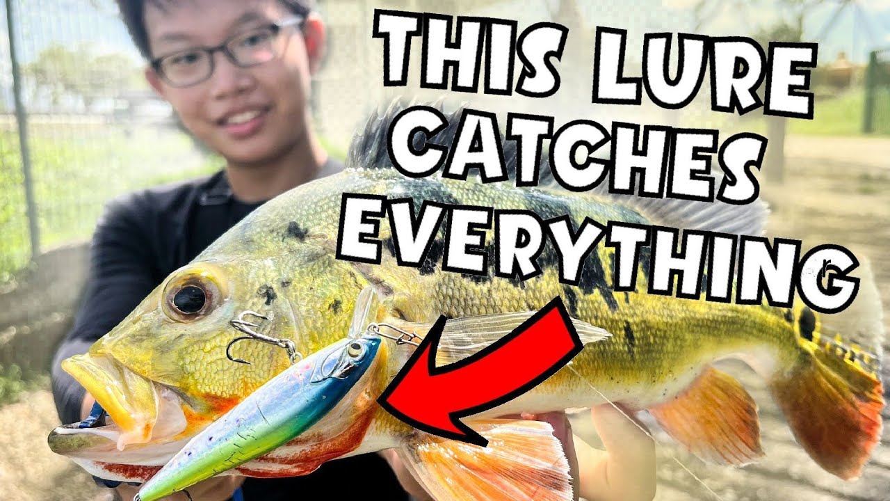 3 tray fishing tackle box Three-Tray Striper Kit pier fishing bailed latch Color:Live Pumpkin Seed Ming Yang MC600 Black