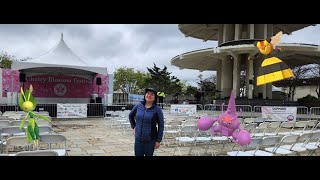 Playing Pokemon Go during Cherry Blossom Festival in SF Japantown!