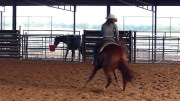 Lenas Sangria - sorting practice - warming up #1 -  Valley View Ranch