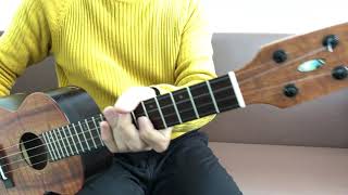 Seilen SLT-284x4W   [LAST GUITAR]