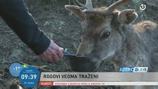 Farma Jelena Lopatara Na Ozrenu