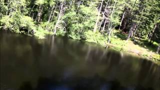 Zip Lining with Zip San Juan