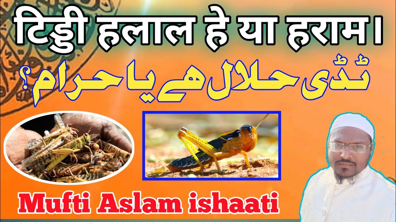 टिड्डी खाने का हुक्म। टिड्डी हलाल हे या हराम।Locust Halal on haram।