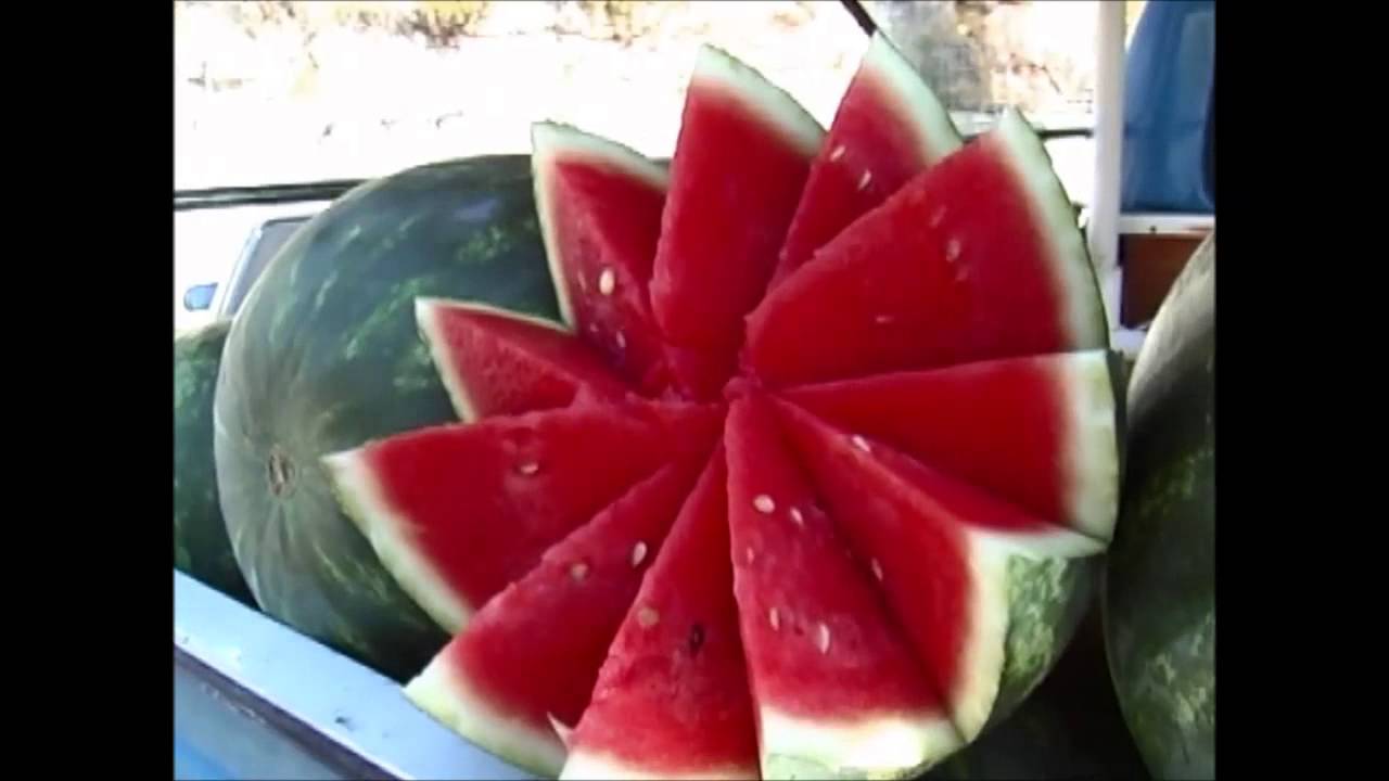 أجا الصيف - روني روك