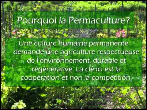 2010-Wen Rolland-Conférence Partie 5, Design et Permaculture - YouTube