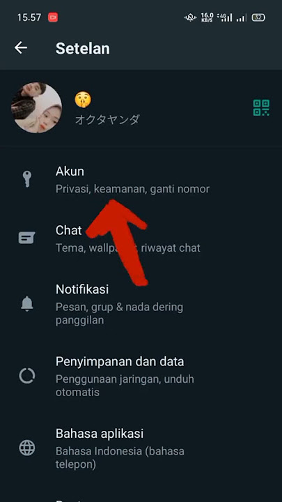 cara mengatur siapa yang bisa memanggil di wa tanpa memblokir