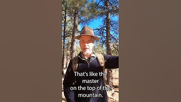 The First Taoism is the Esoteric Pathway: the Wandering Taoist. #thetao #taoismteachings #daoism