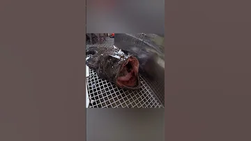Морской чёрт или Подводная Машина для Убийств