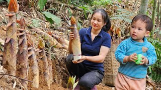 Harvesting & Preserving Fresh Bamboo Shoots - Lý Phúc An