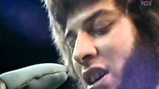 Video thumbnail of "Mungo Jerry - Summertime"