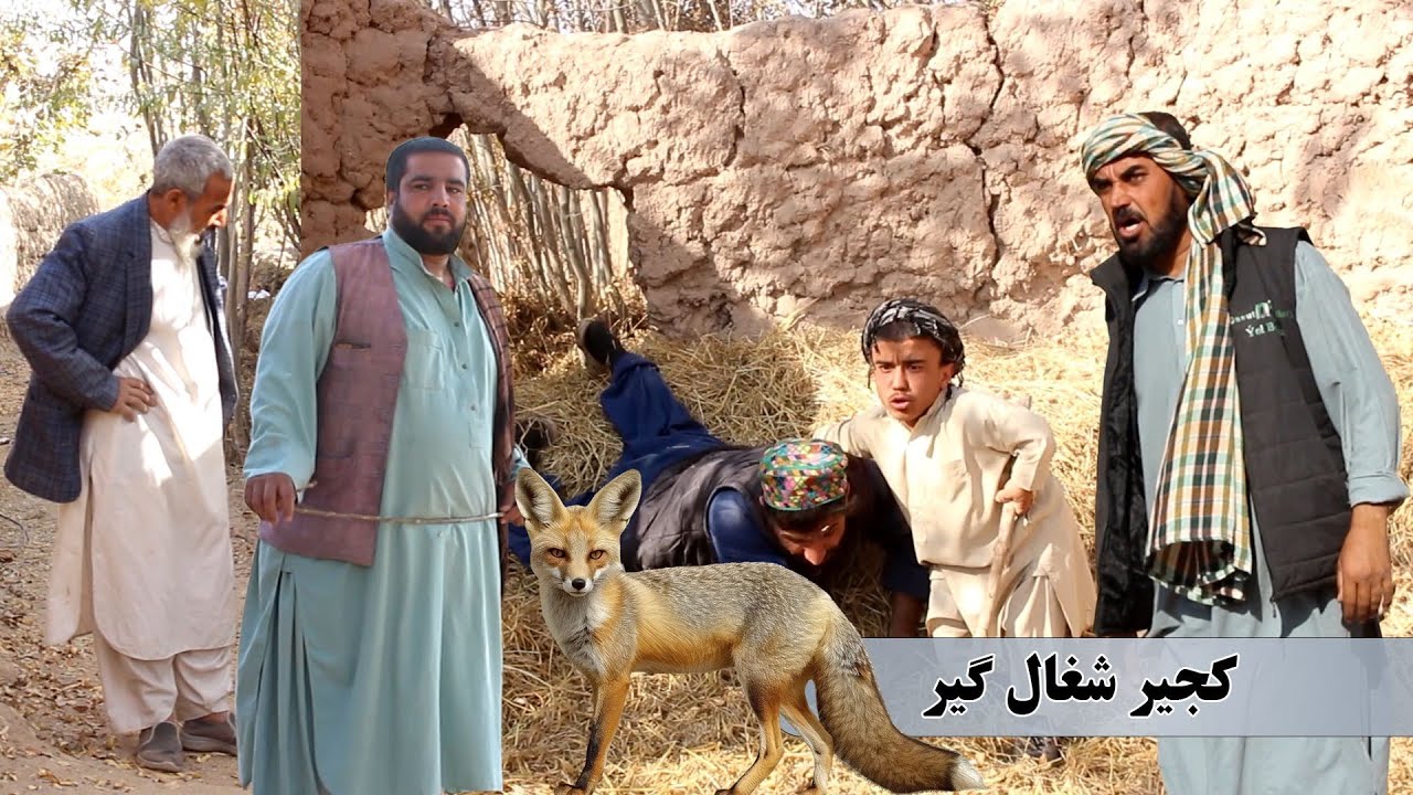 نمایش: کجیر وشادگل شغال میگیرن