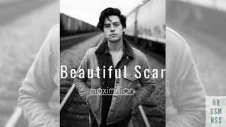 Beautiful Scars | maximillian #lyricvideo #maximillian