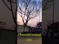 beautiful nature in evening view #song #shorts #ytshorts #youtubeshorts