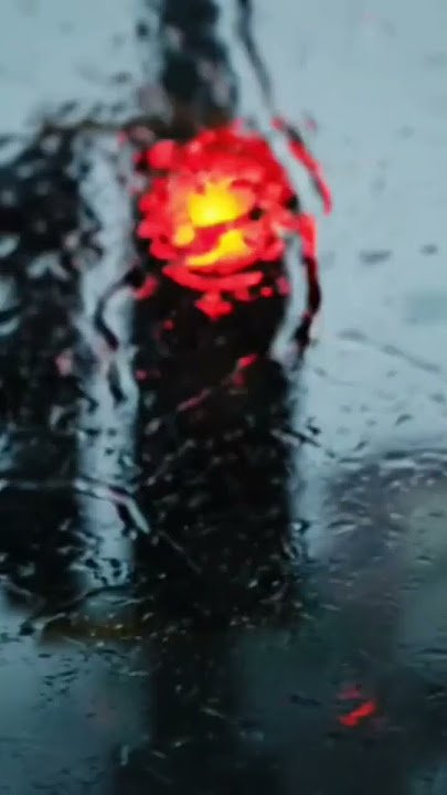 Florida Storm Caught on Camera — Cocoa’s Streets Under Water”