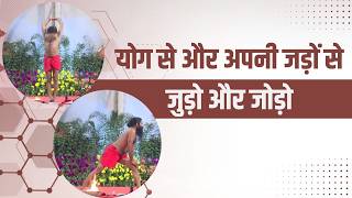 यग स और अपन जड स जड और जड Swami Ramdev