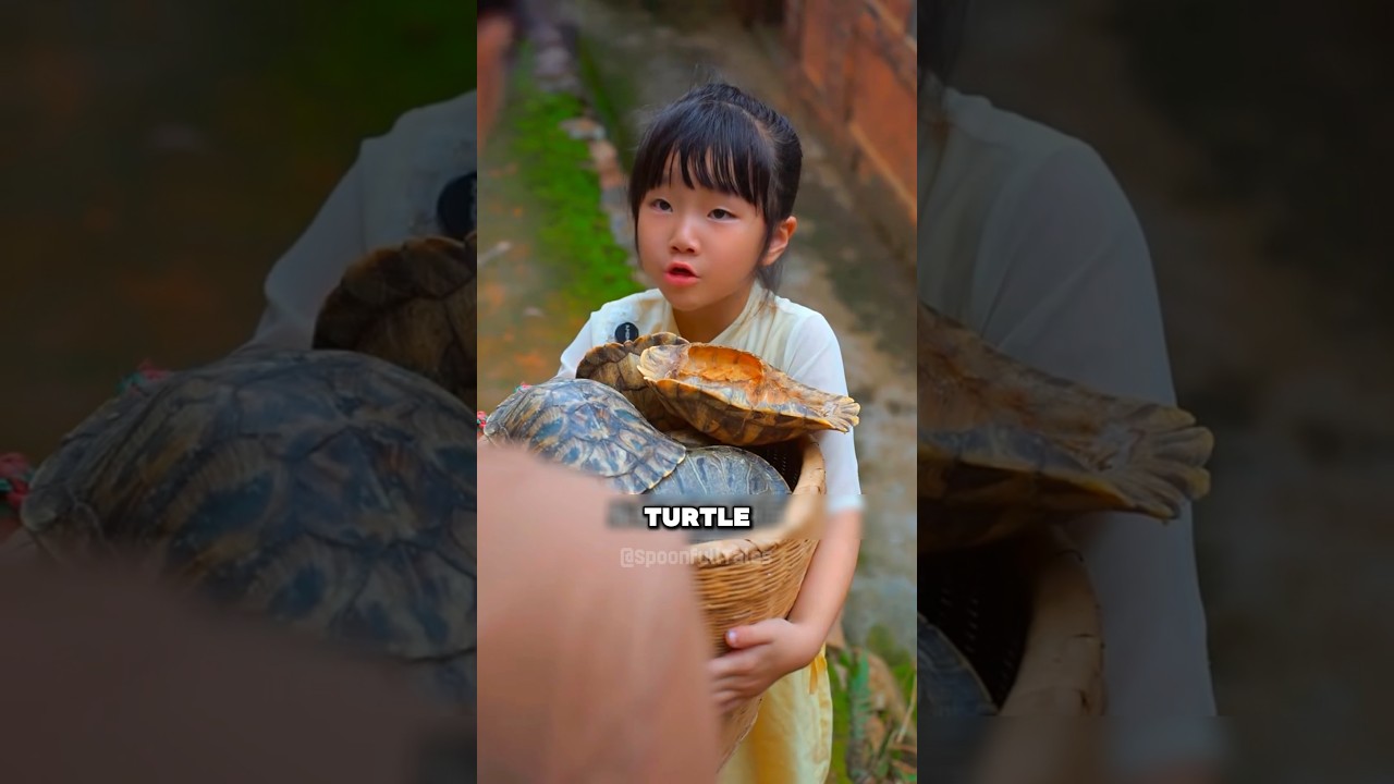 You Won’t Believe What They Made From These Rotten Turtle Shells! #shorts #food #asmreating #tiktok