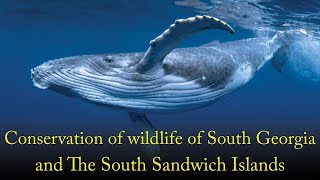 Conservation of Wildlife of South Georgia and The South Sandwich Islands