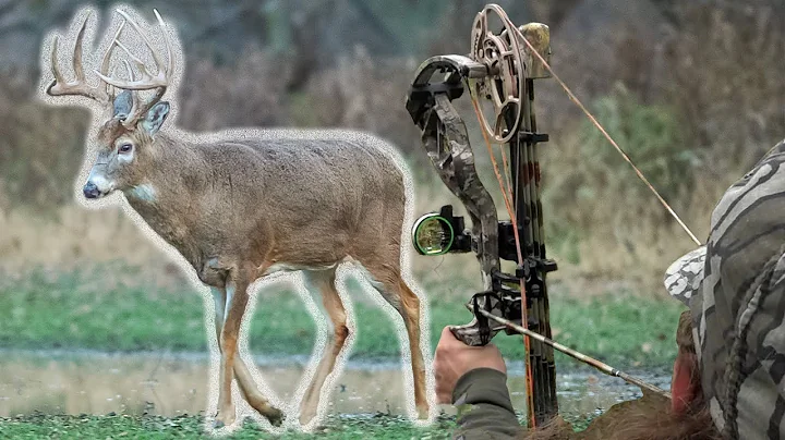 Les 5 meilleures astuces de chasse au cerf au sol !