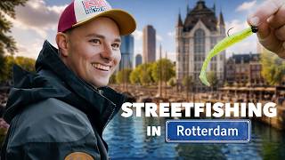 VEEL SNOEKBAARS en een DIKKE BAARS in het CENTRUM van ROTTERDAM!