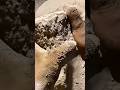 mud and water crumbling asmr satisfying asmr pure cement asmr #crunchycrumbles