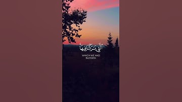 تلاوة عطرة من سورة الانبياء للقارئ ياسر الدوسري #quran #قرآن #تلاوة_خاشعة #اذكروا_الله_يذكركم #درنة