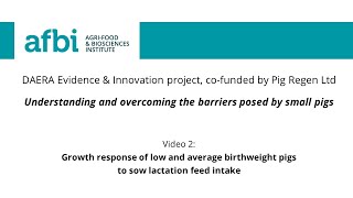 2. Growth response of low and average birthweight pigs to sow lactation feed intake