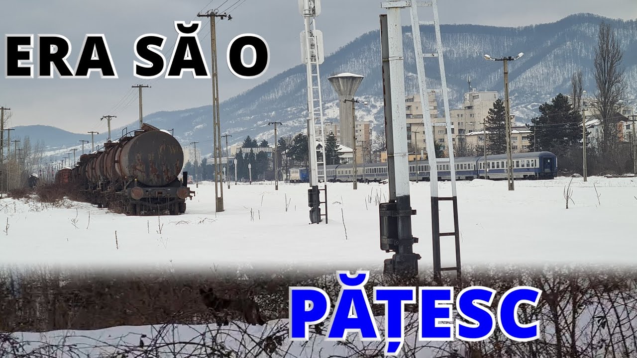 BAIA MARE | Curios de ce e în partea cealaltă a liniilor, înconjurat de câini