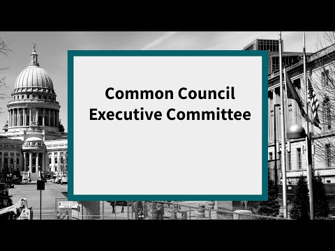 Common Council Executive Committee: Meeting of November 16, 2021