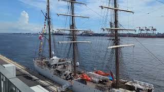 ペルー海軍帆船見学_東京クルーズターミナル_2023/09/02