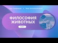 Рози Брайдотти. Постгуманизм и новые аффекты