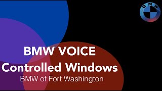 BMW Voice Controlled Windows screenshot 4