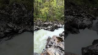 Relaxing River Sounds | Ancient Scottish Forest ASMR 🌿