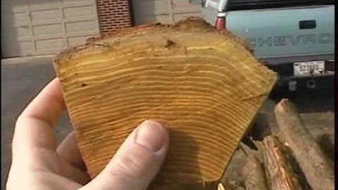 Splitting osage orange staves to make selfbows
