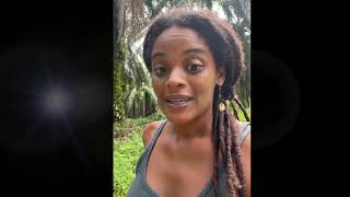 My Experience With Iboga Plant Medicine