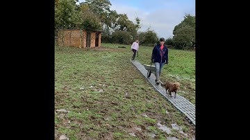 Laying a pathway of MUDCONTROL slabs, and a horse
