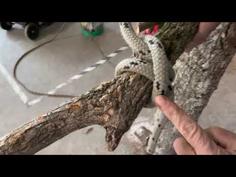 How To Rig Tree Limb Removal