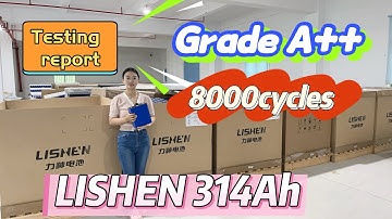 Grade A+ Lishen 314Ah testing report analyze