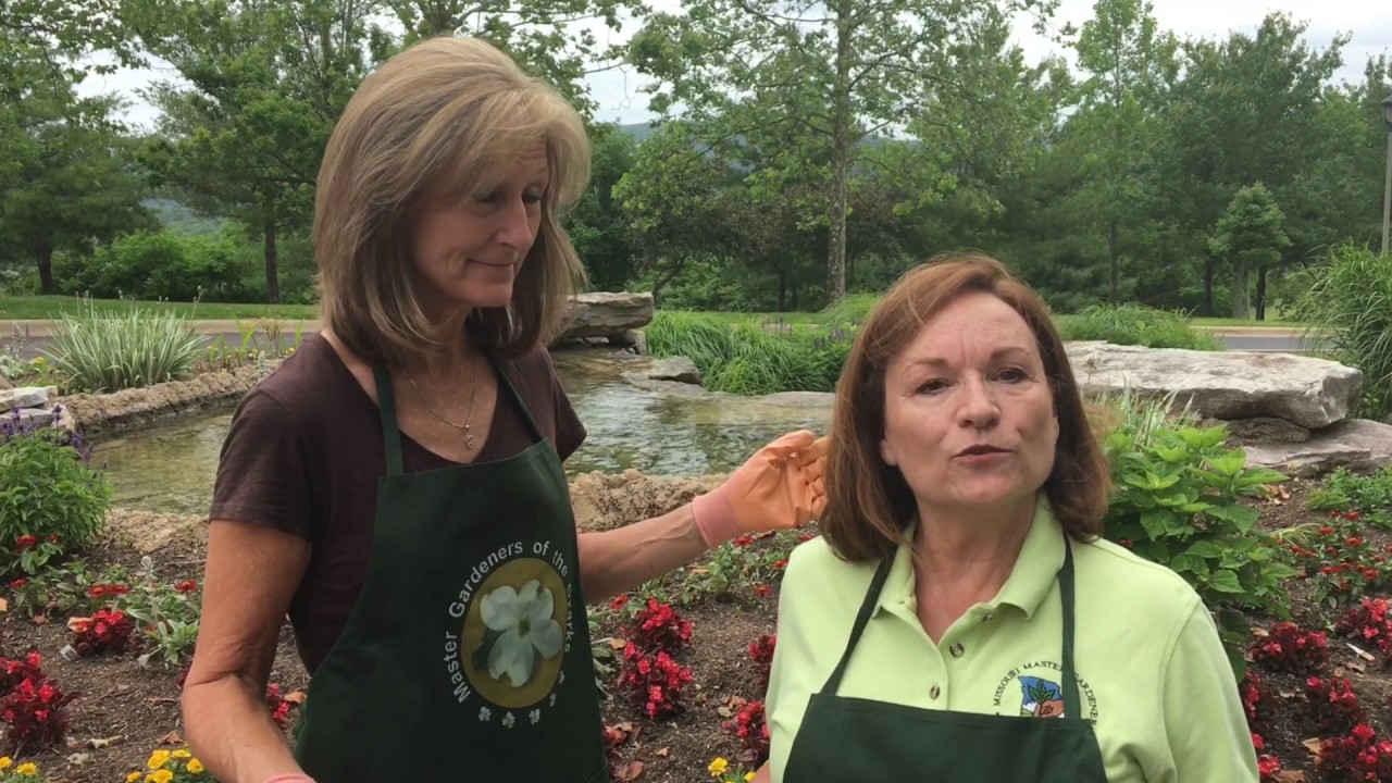 2018 Missouri Master Gardener State Conference Save the Date YouTube