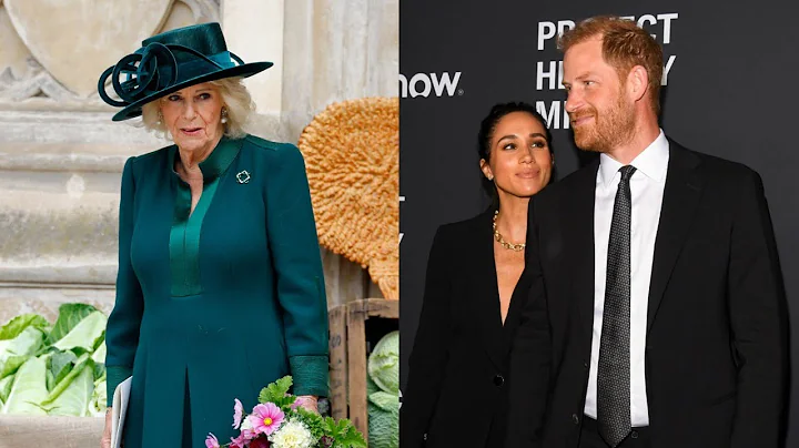 Queen Camilla reportedly strategising against the ‘entirely selfish’ Sussexes amid peace talks