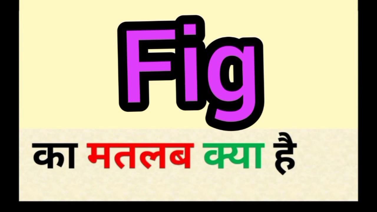Fig meaning in hindi fig ka matlab kya hota hai word meaning