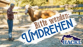 Vom Boden aus umdrehen | Bernd Hackl erklärt! 🐴