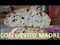 PANE CON LIEVITO MADRE pasta madre pane RUSTICO PASTA MADRE