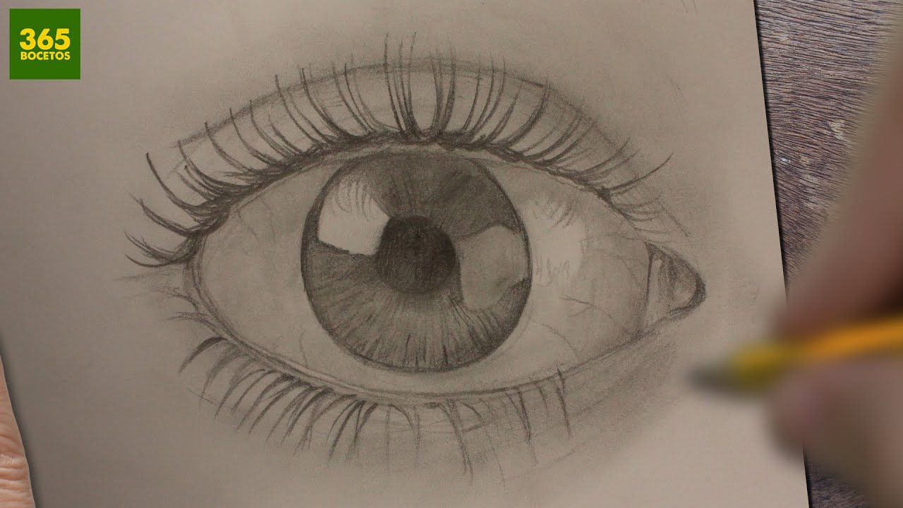 COMO DIBUJAR OJOS REALISTAS A LAPIZ PASO A PASO - Dibujos faciles - How