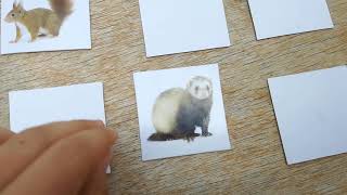 Comment jouer au jeu de mémoire (animaux de la forêt) screenshot 2