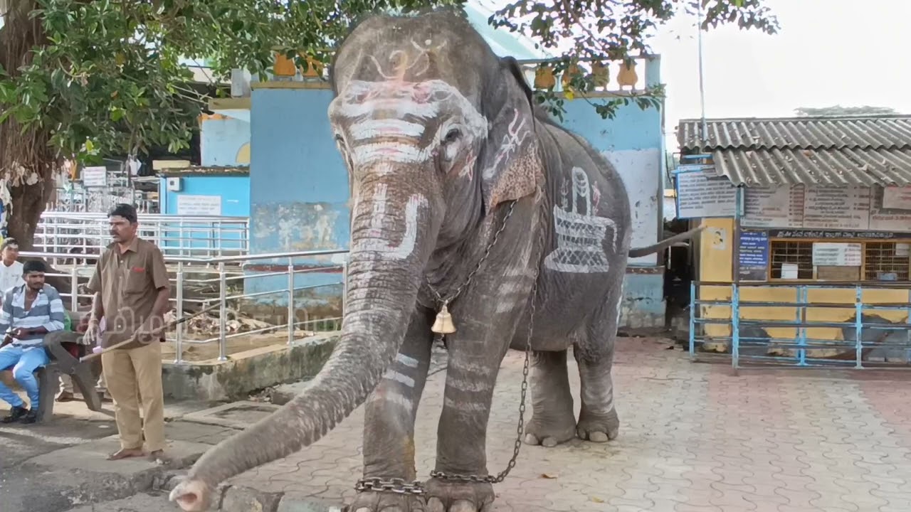ಪರ್ವತ ಮಾಥೇಶ್ವರ ದೇವಸ್ಥಾನ / Sri Male Mahadeshwara Swamy temple/