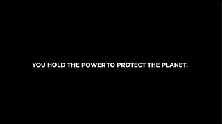 Small Actions, Big Impact | World Environment Day 2025