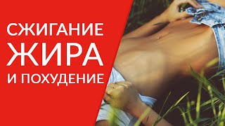 Сжигание жира и похудение. Боремся с проблемными зонами. Сжигание жира и похудение. Боремся с проблемными зонами.